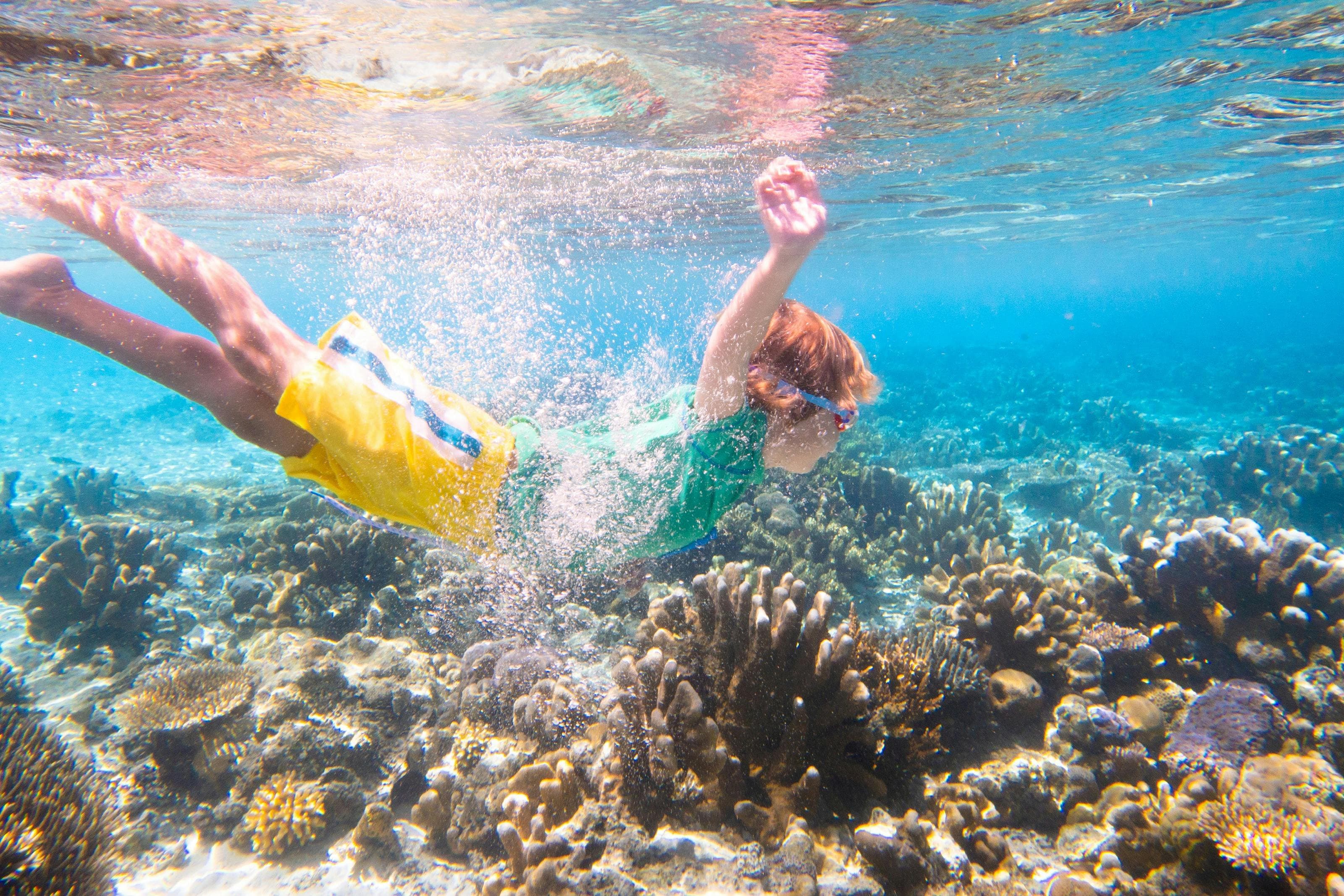 Giftun Island: Guided Snorkeling Tour from Hurghada + Lunch & Drinks