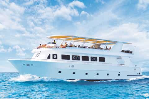 Cairo: Luxury Snorkeling Cruise & lunch with optional pickup