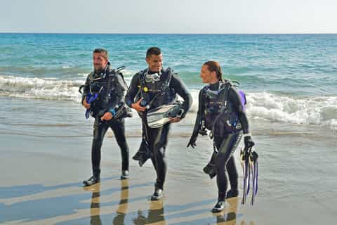 Hurghada- RedSea: Shore Diving with Dolphins and Transfers