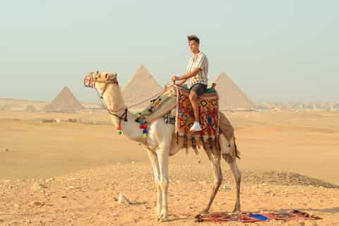Cairo: Camel Ride Around The Pyramids with Hotel Pickup