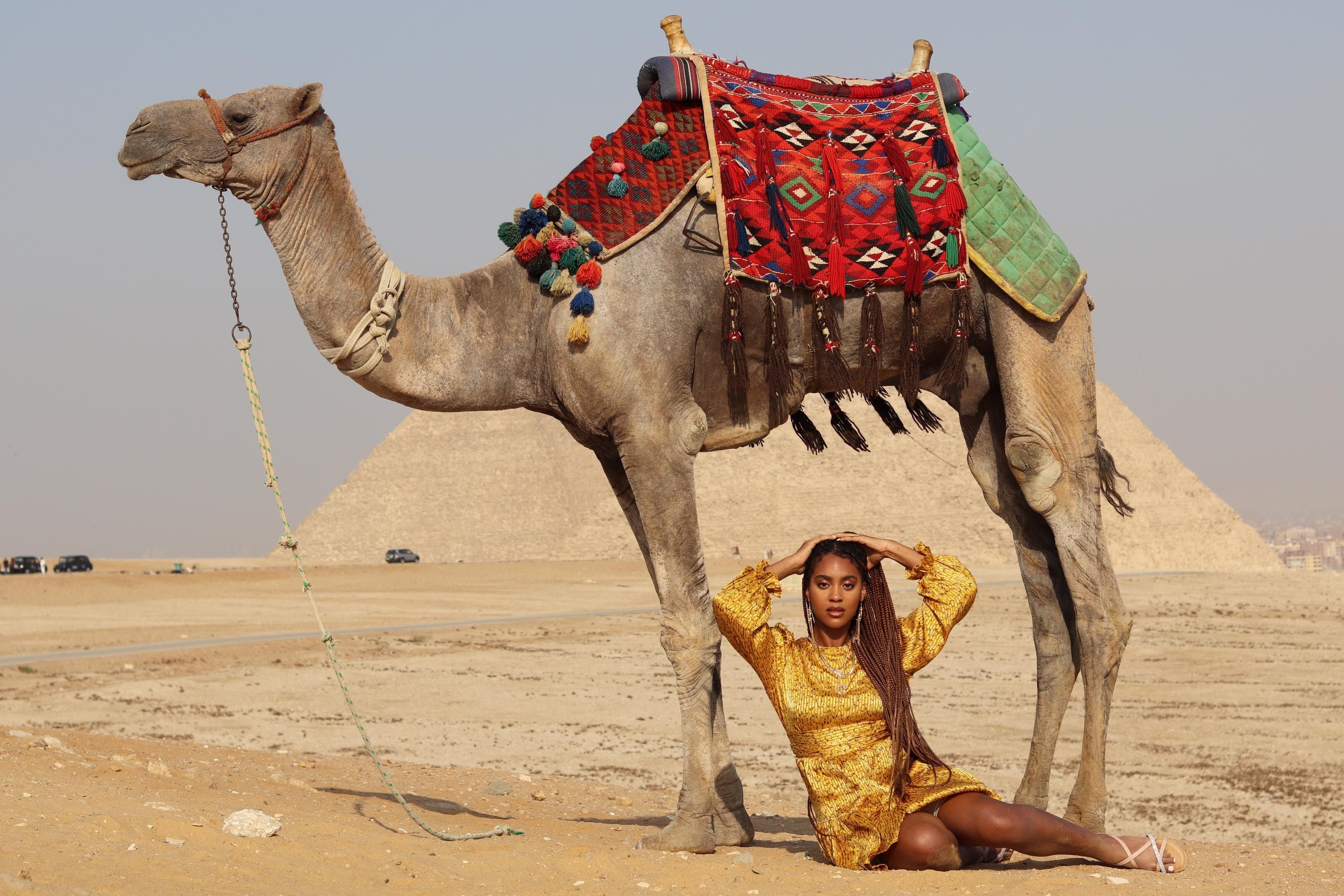 Full day tour Giza pyramids , Memphis, Saqqara