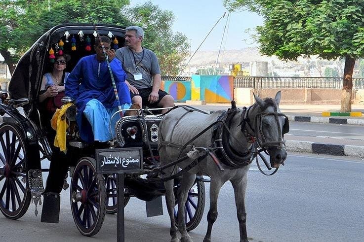 Luxor City Tour By Horse Carriage