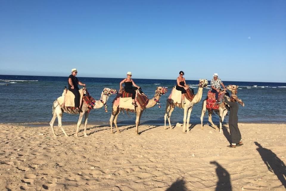 Hurghada Horse Riding