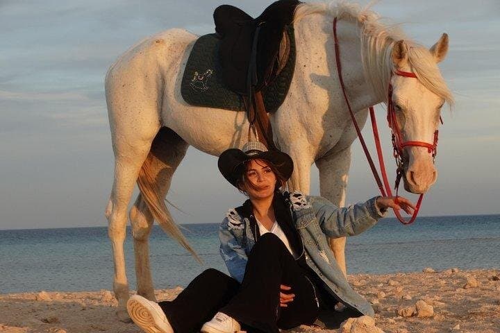 Explore Sharm El-Sheikh on 2 Hour Horseback ( Sea & Desert )