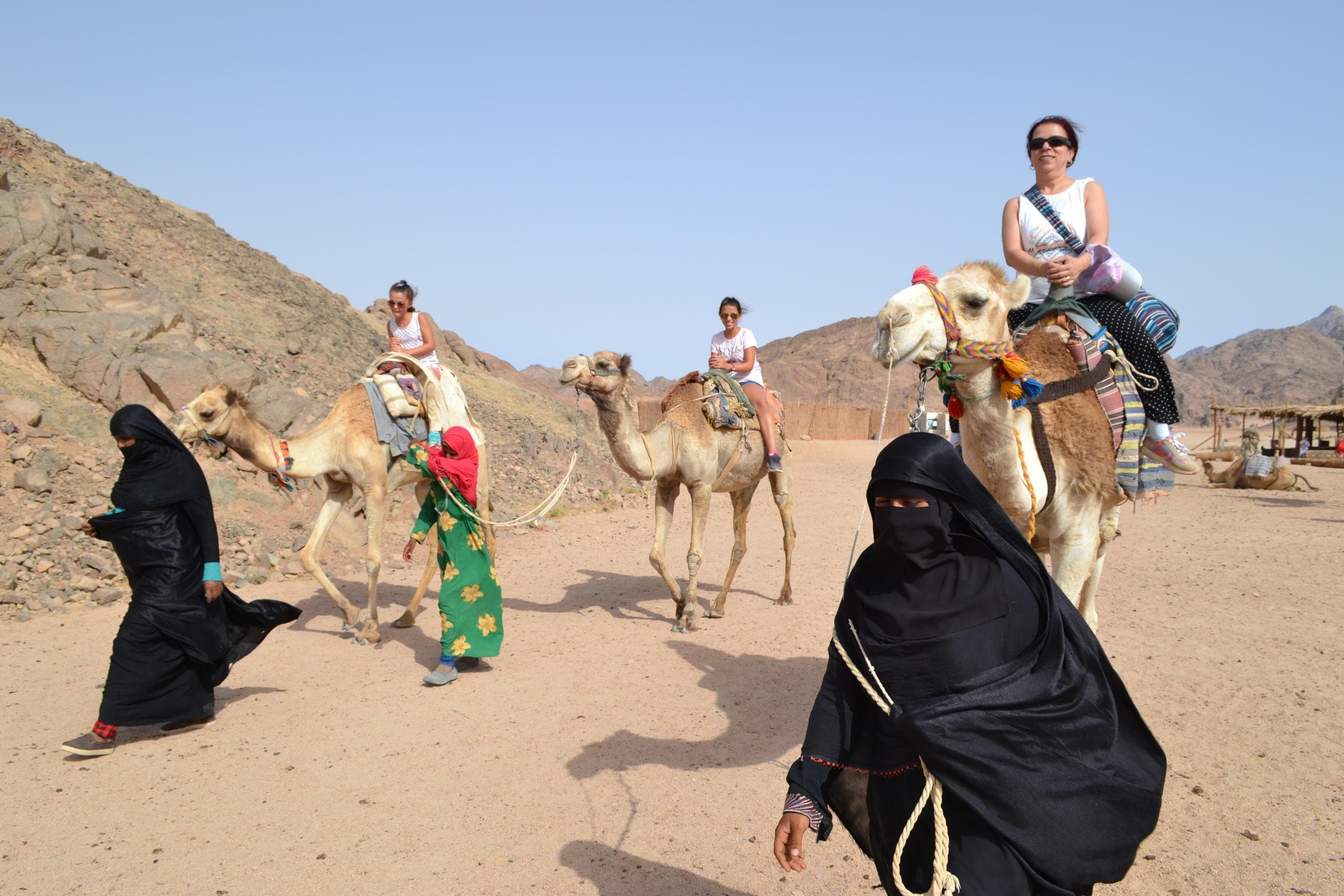 Super Desert Safari (4WD, Quad Bike, Camel Ride, BBQ Dinner & Drinks)