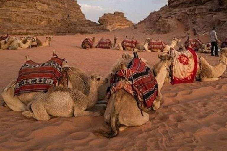 Super Safari From Hurghada
