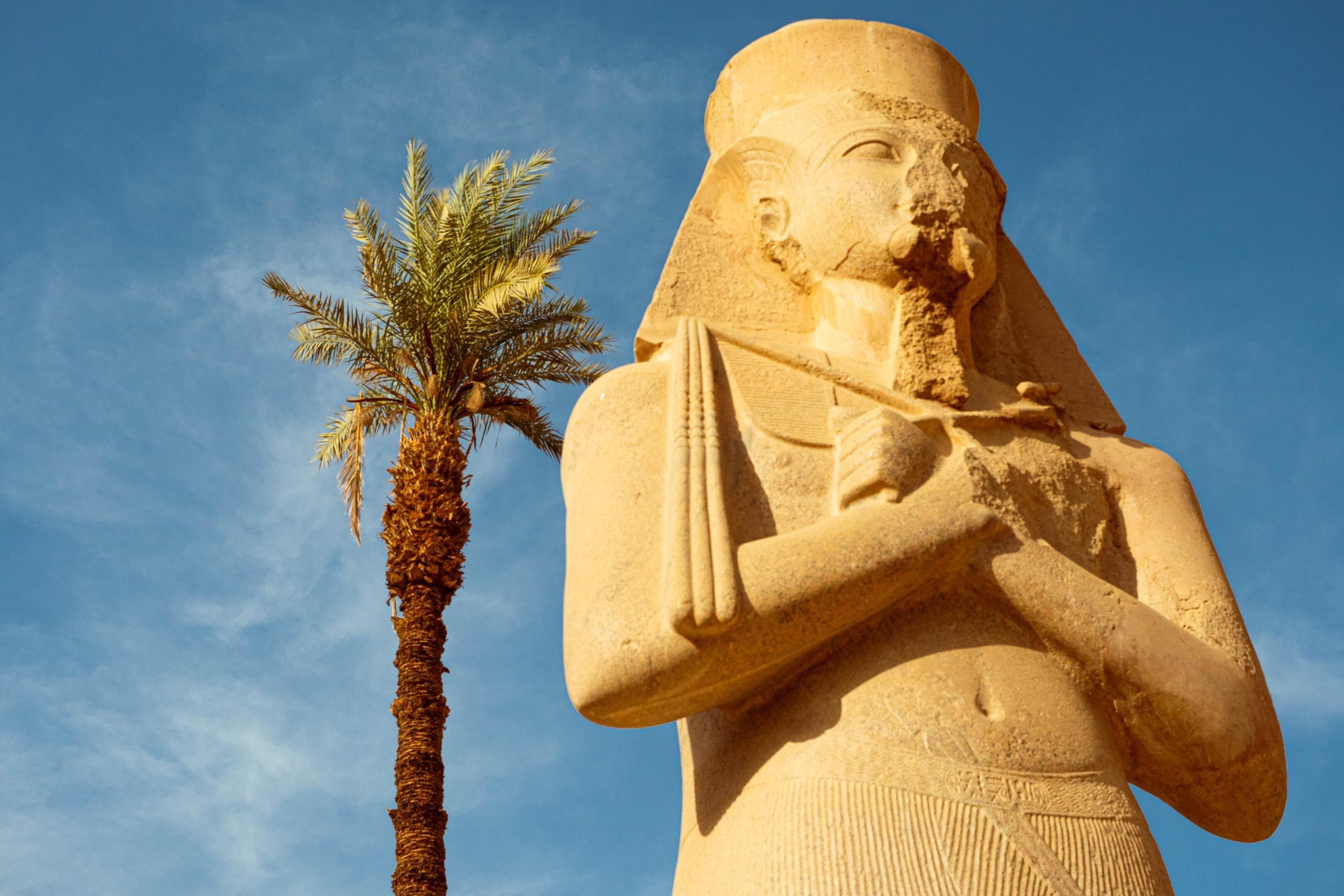 Full Day Historical Private Tour of Luxor from Hurghada