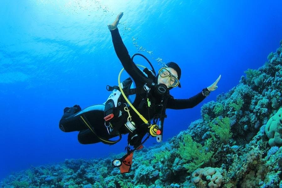 Scuba Diving Adventure for Beginners with Lunch – Sharm El Sheikh