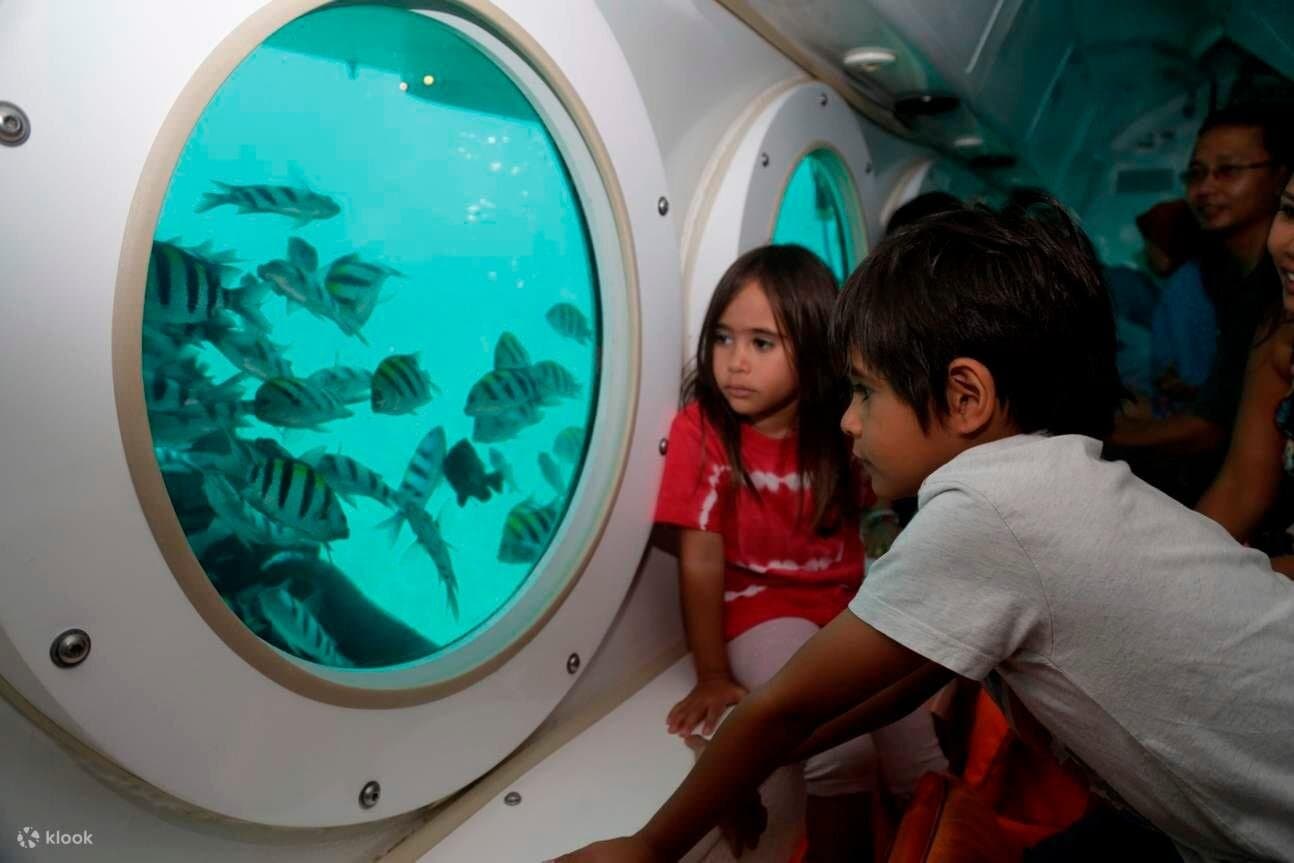 Sharm El Sheikh Semi-Submarine Adventure – Royal Sea Scope Cruise