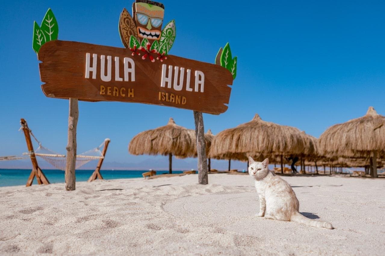 Hula Hula Island Full-Day Sea Trip, Snorkeling & Lunch – Hurghada