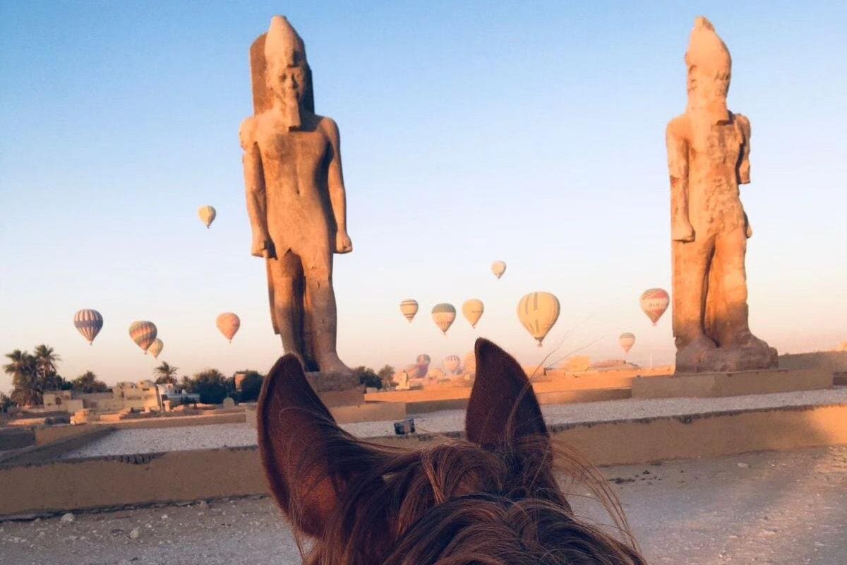 Sunset Horse Ride by the Nile — Luxor