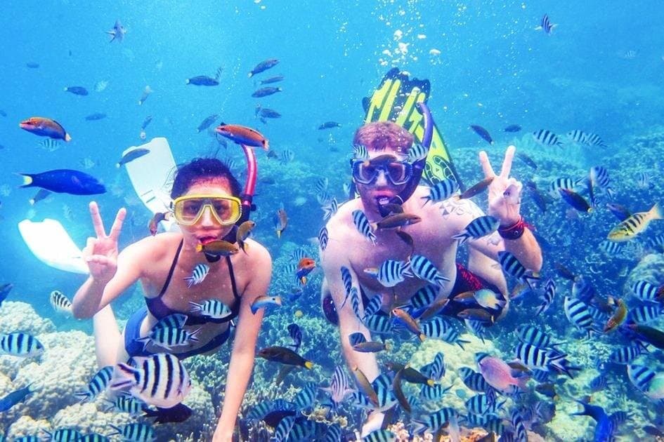 Snorkeling Excursion in Ras Mohammed and White Island