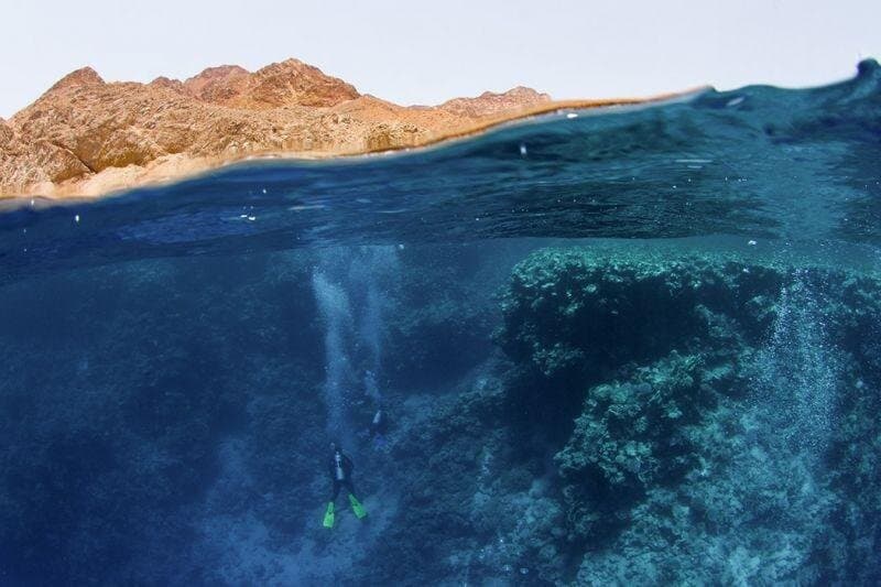 Blue Hole In Full Day Private Trip From Sharm El Sheikh