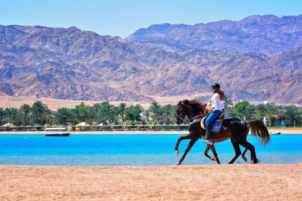 Adventure Safari By Horse In Dahab At Laguna Beach
