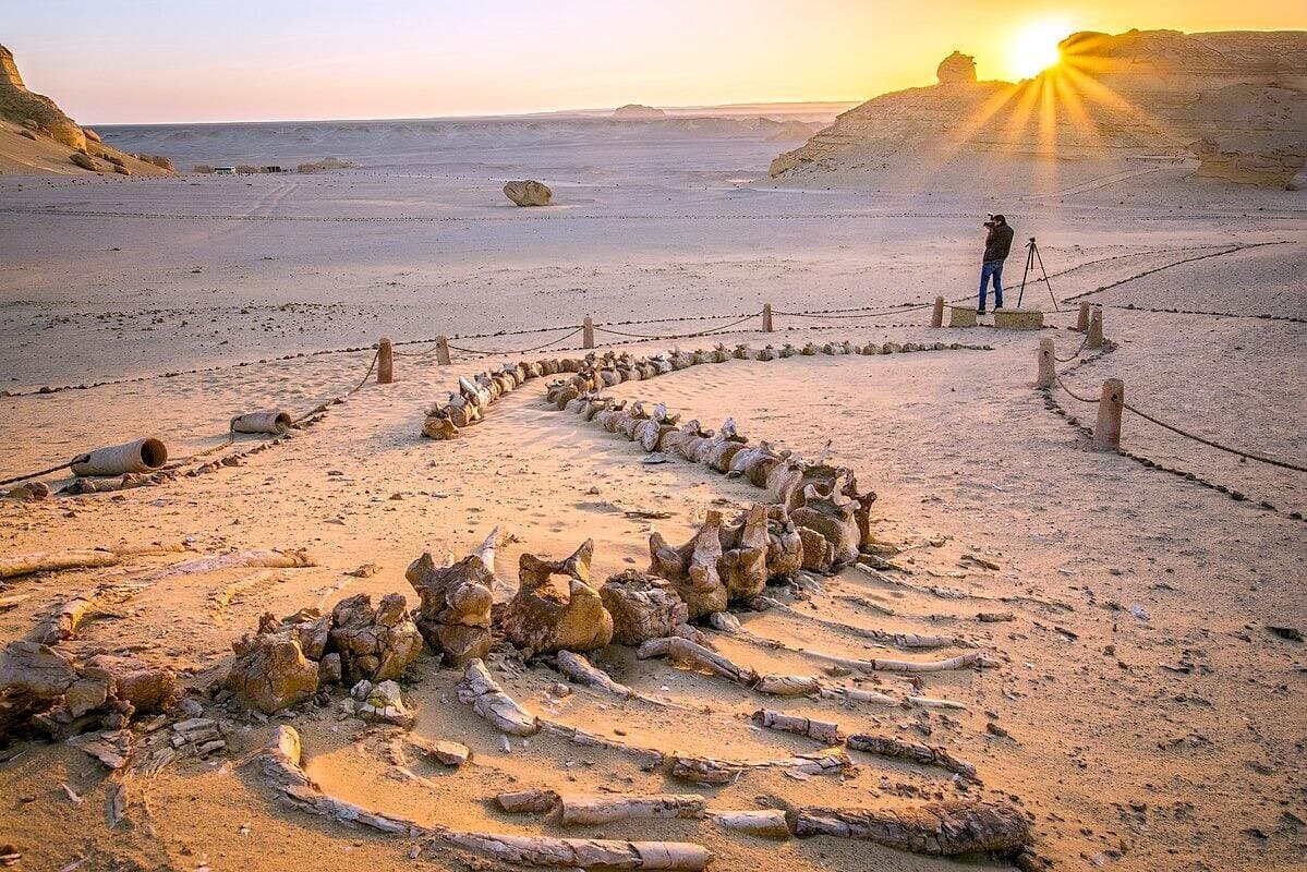 Private Day Tour From Cairo to Fayoum