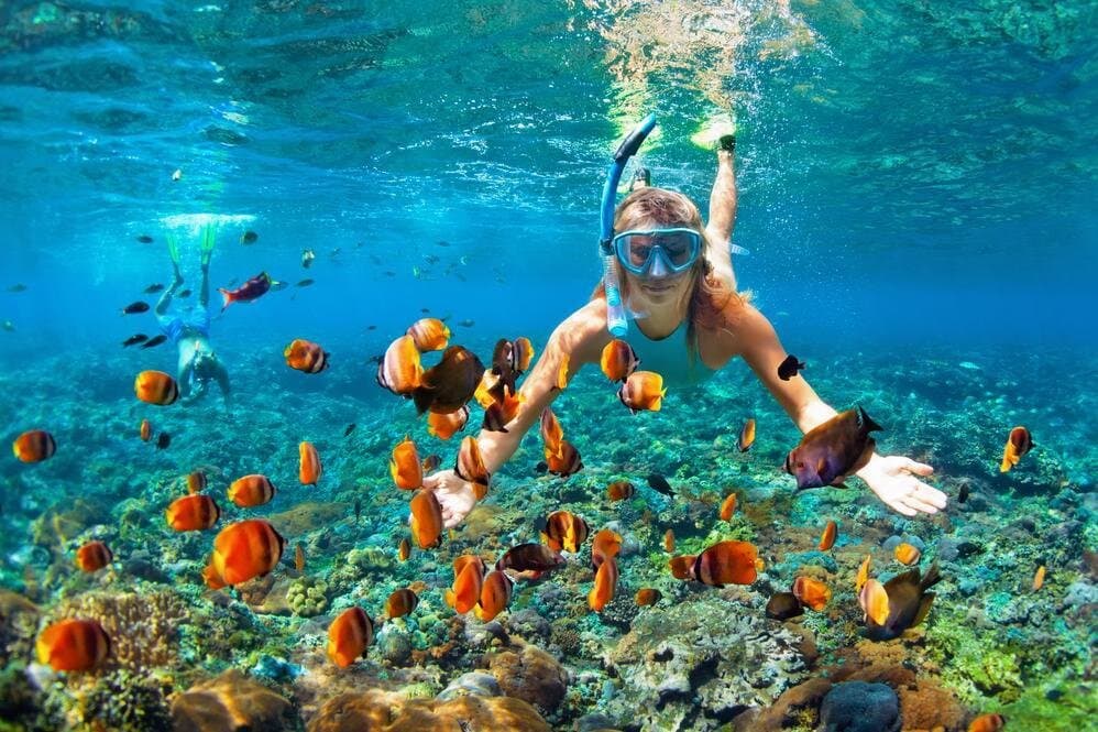 Full Day in a Island Snorkeling Private Tour From Hurghada