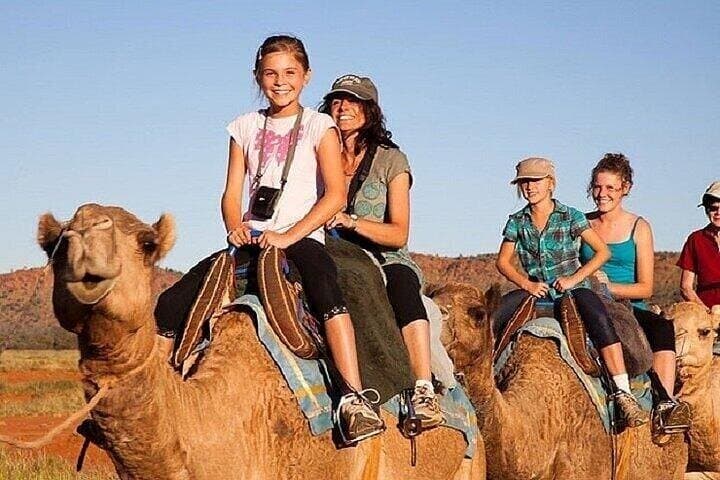 2-Hours Camel Ride Through the Desert β Sharm El Sheikh