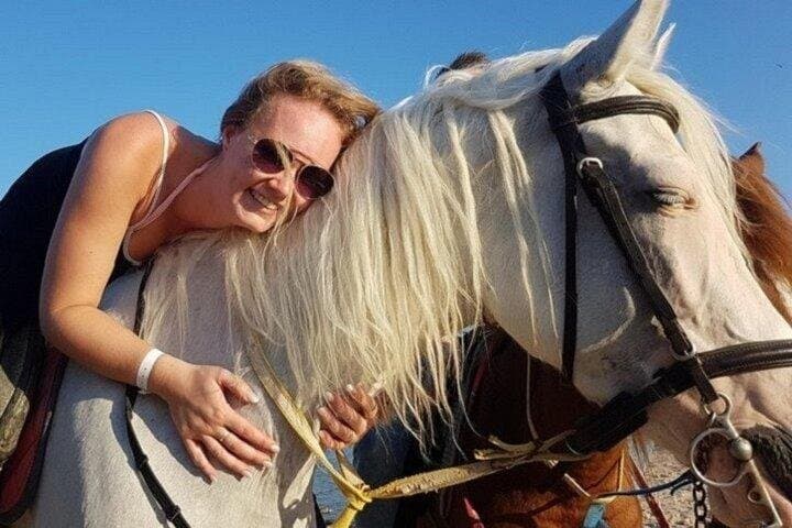 1-Hour Turkish Bath and 1-Hour Horse Riding – Sharm El Sheikh