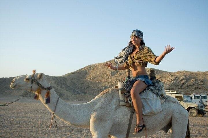 1-Hour Camel Ride Through the Desert – Sharm El Sheikh