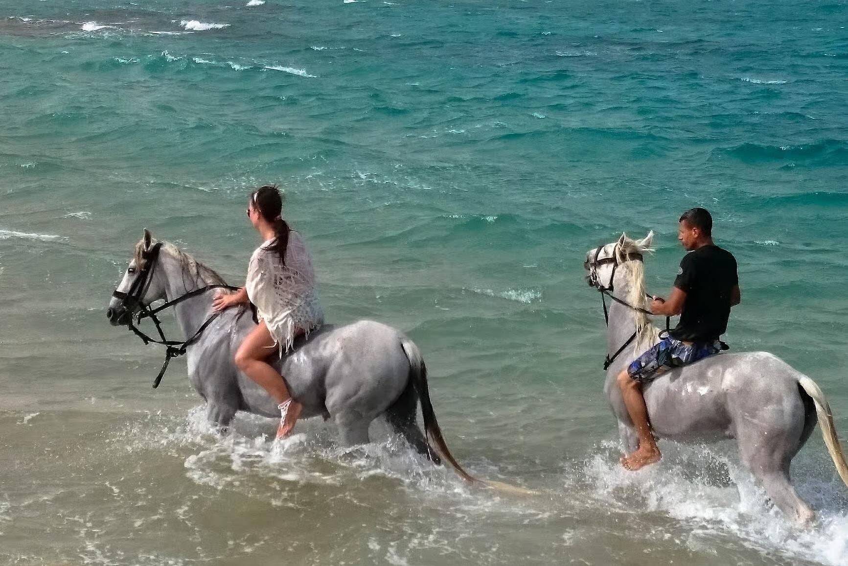 Horse Riding on the Desert and the Sea from Hurghada