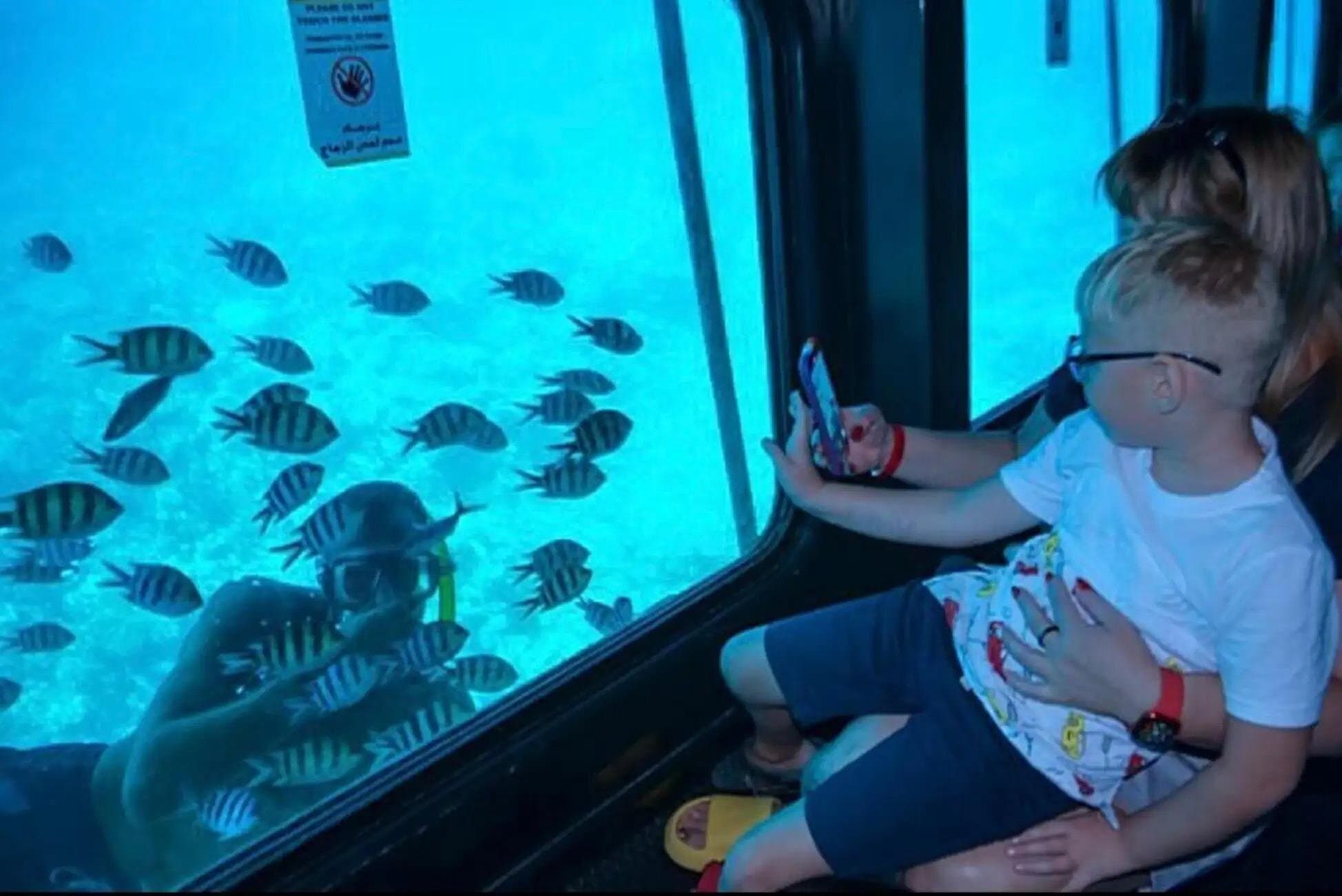 Marine Life in Sharm Semi Submarine Boat Tour