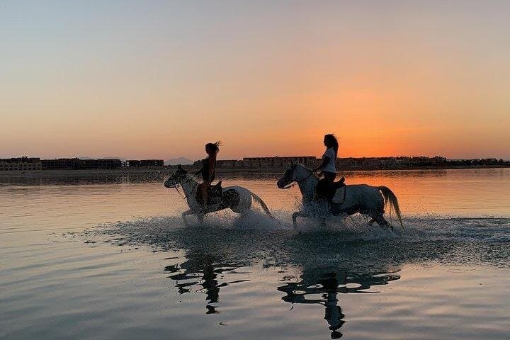 2 Hours Horseback Riding Adventure in Hurghada