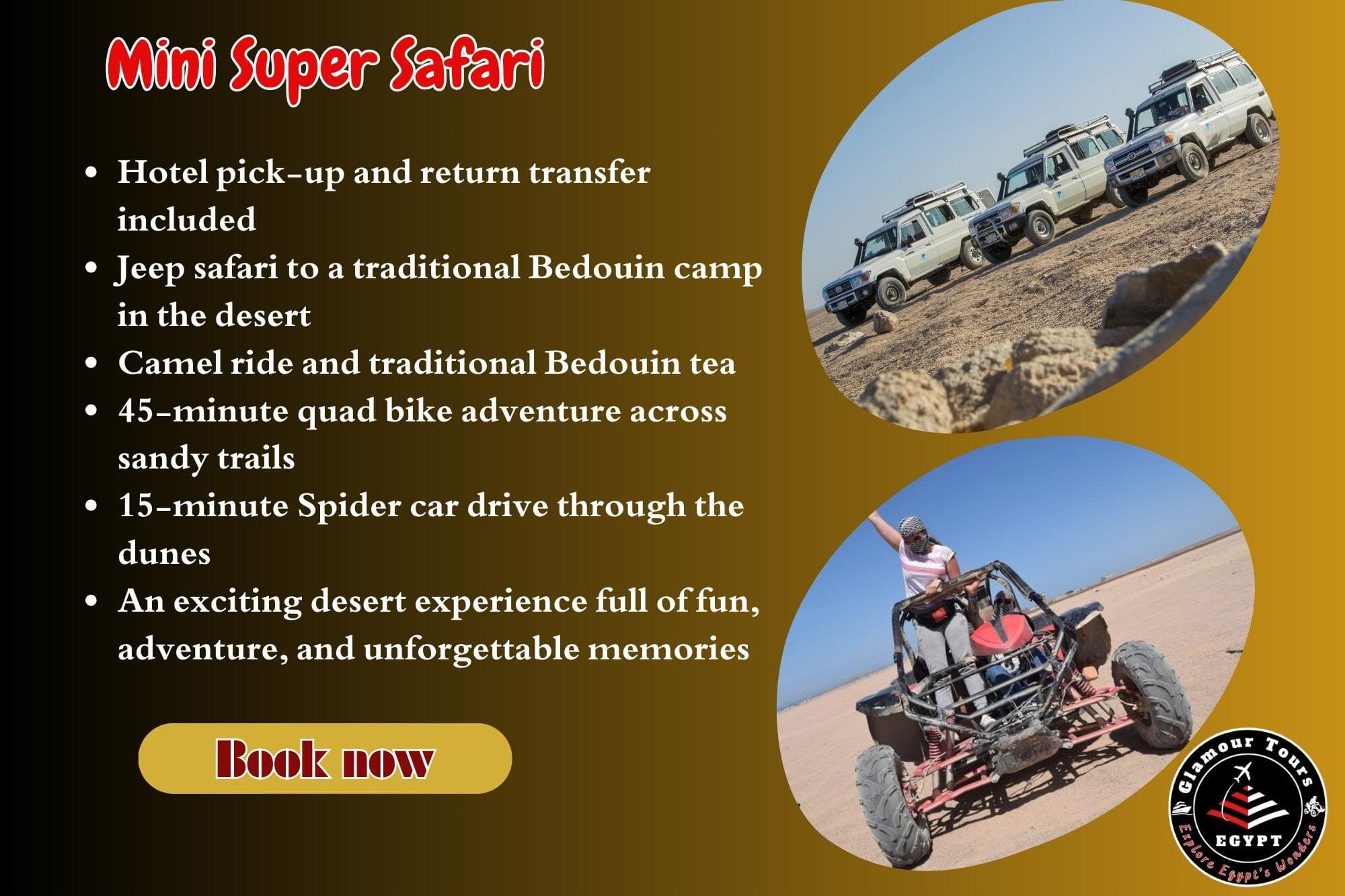 3-Hour Mini Super Safari: Quad, Jeep, Spider Car, Camel & Tea
