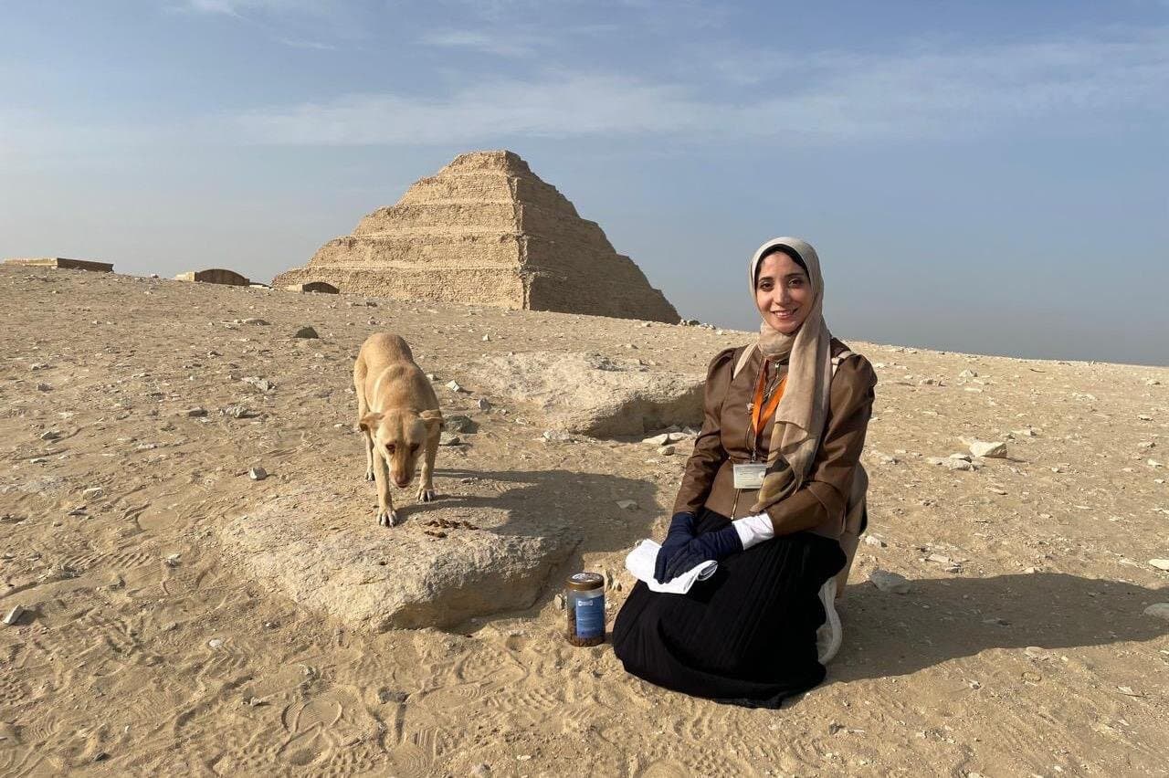 Private tour to All Saqqara tombs and Pyramids in Cairo