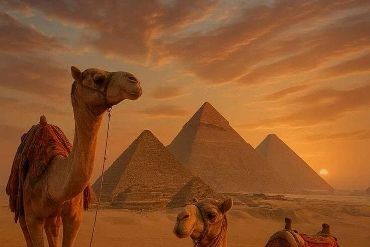 Private Day Tour Giza Pyramids and Grand Egyptian Museum