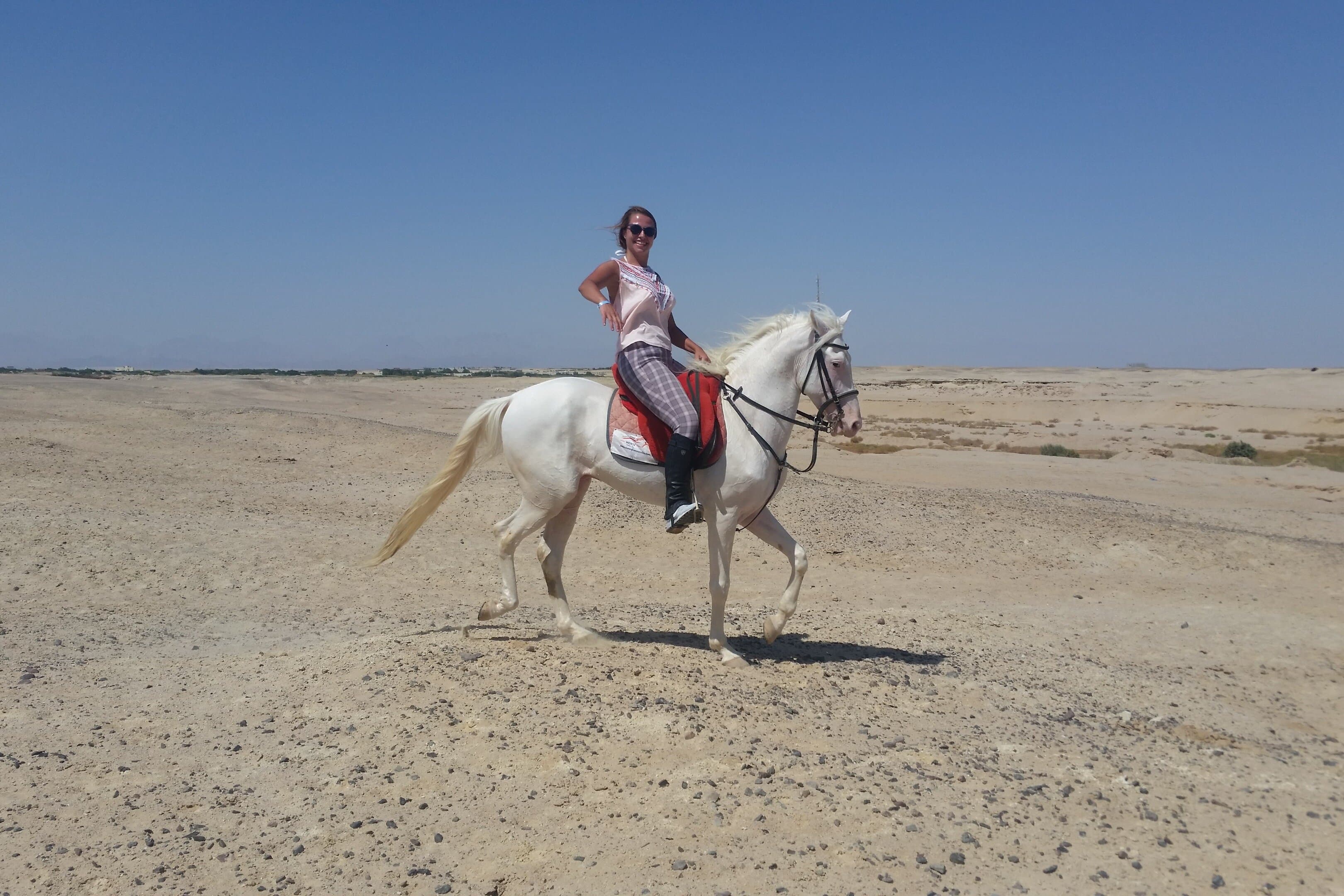 Enjoy a One-Hour Horse Ride in the Desert & Transfer / Hurghada