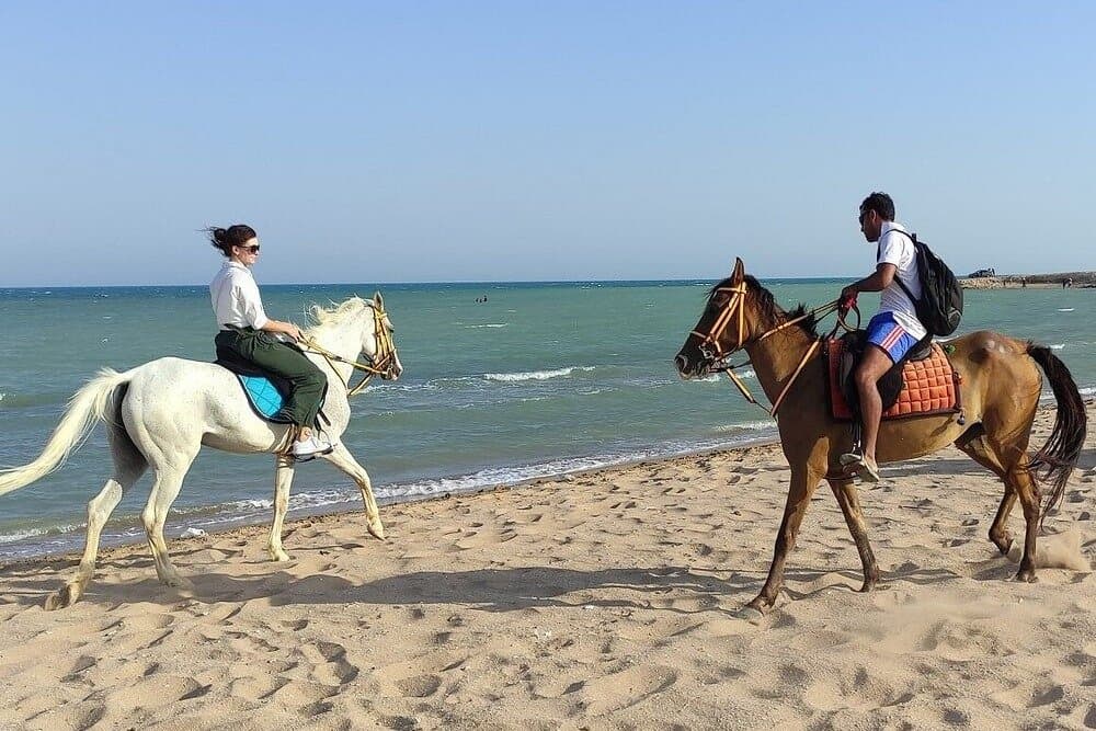 Hurghada 2-Hour Horseback Ride: Desert & Sea Experience