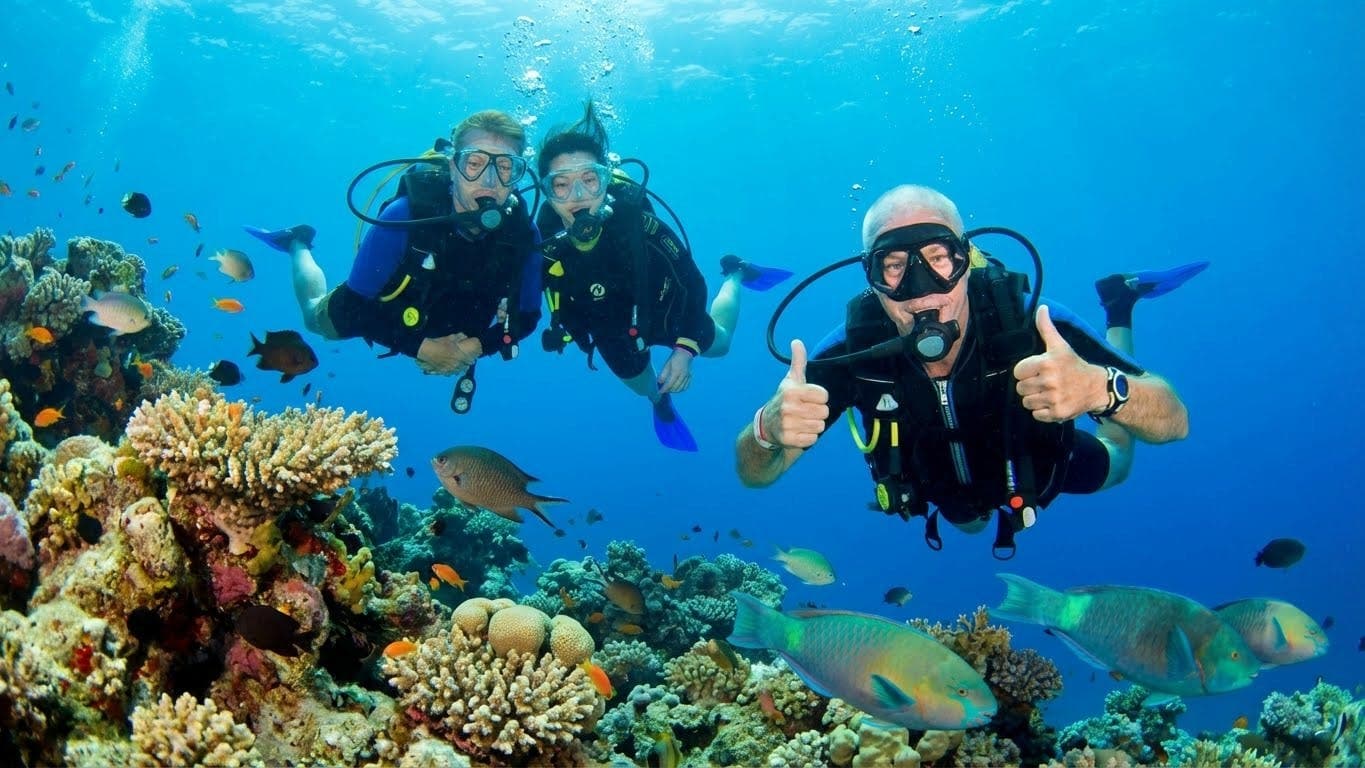Red Sea diving experiences in Hurghada with transfer