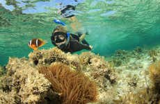Orange Bay Snorkel Tour