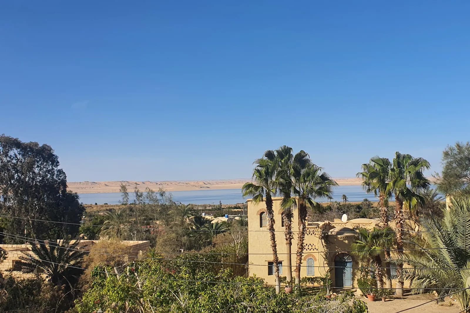 Fayoum Oasis & Wadi El Rayan Waterfalls