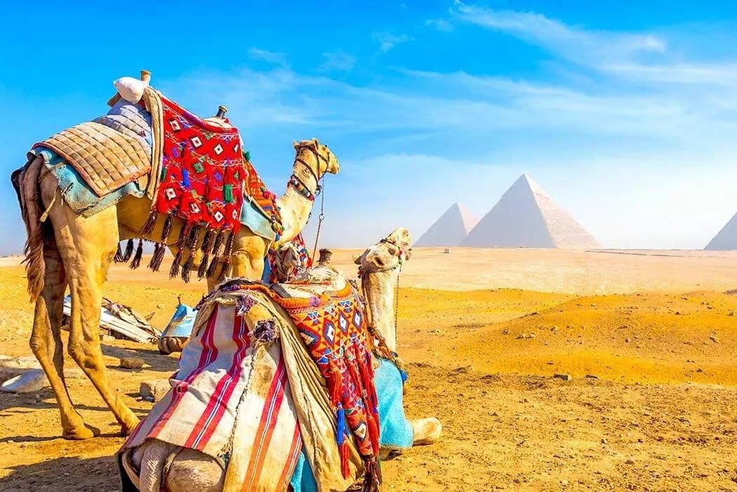 Grand Egyptian Museum — Guided Visit & Tutankhamun