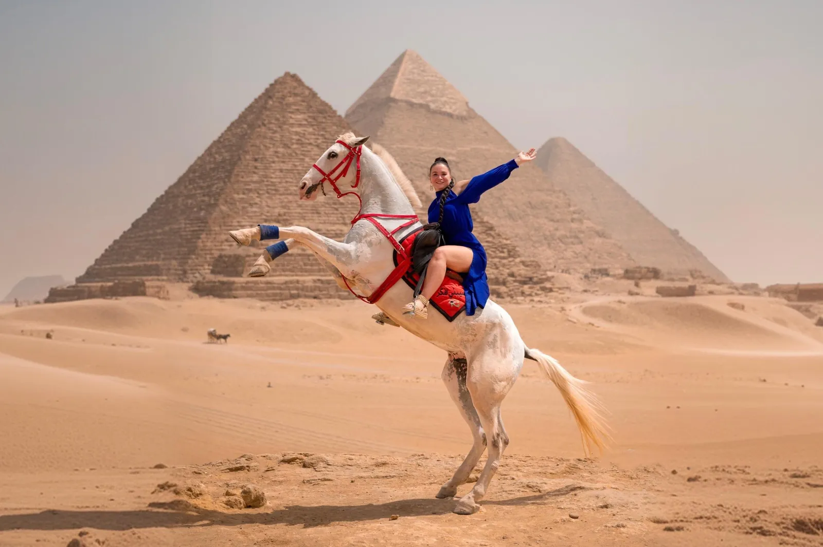 Horse Riding at the Pyramids — Sunrise or Sunset