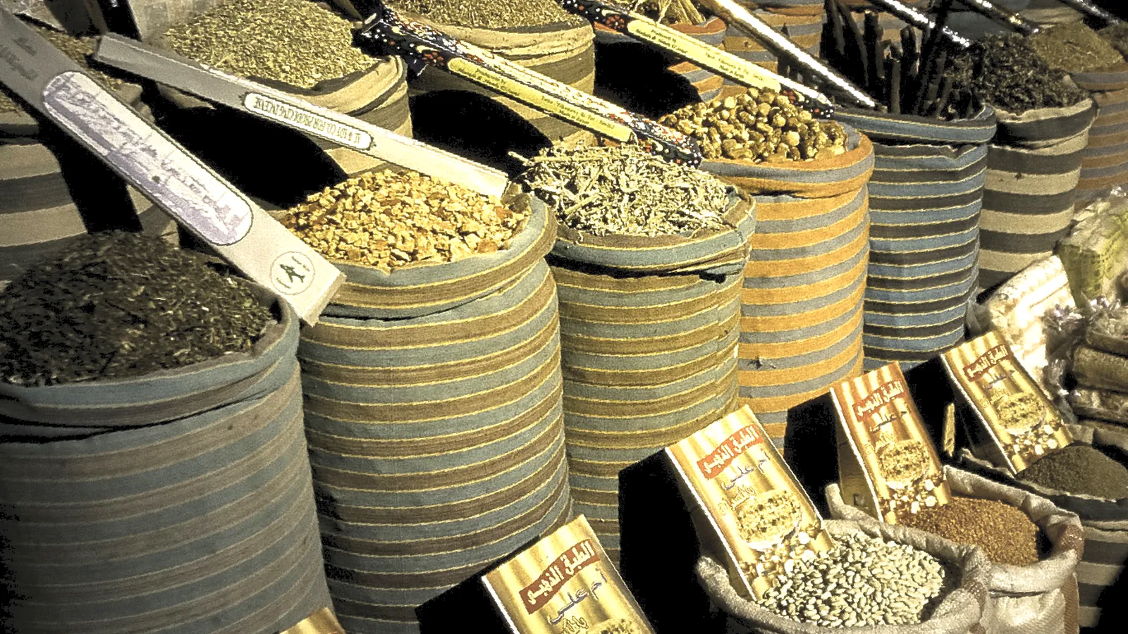 Cairo Day Trips & Excursions