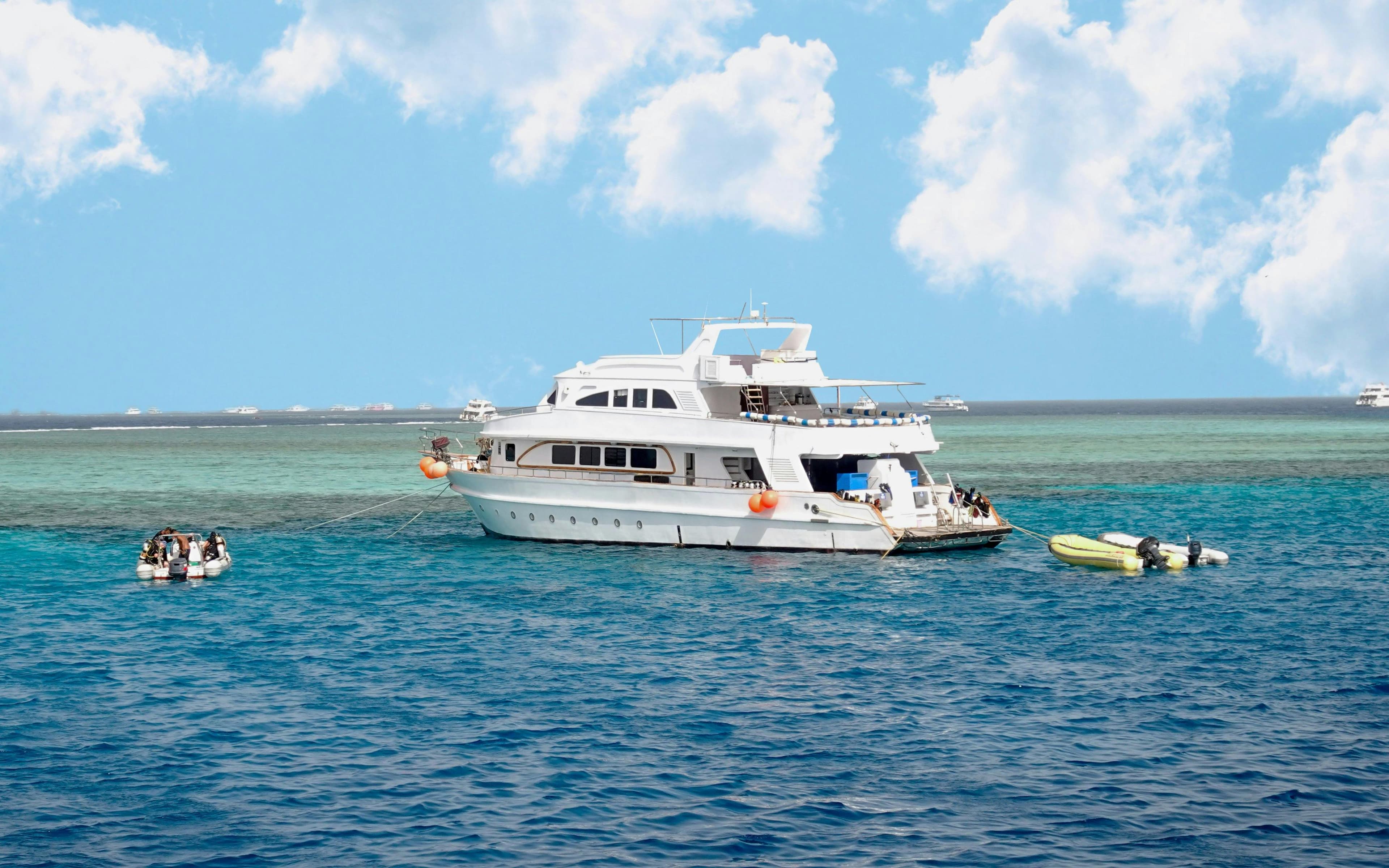 Dolphin House: VIP Cruise with Snorkeling, Buffet, Massage & Transfers