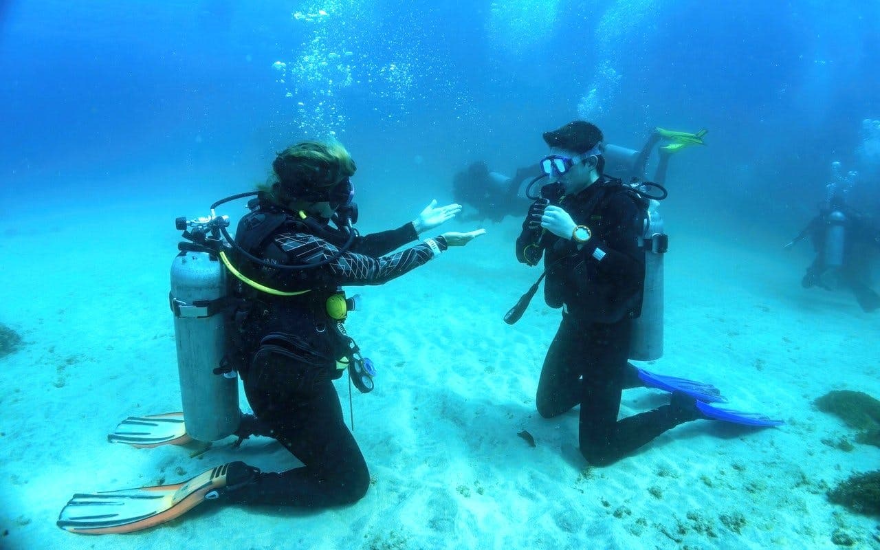 Red Sea Scuba Diving for Beginners with Round-Trip Transfers