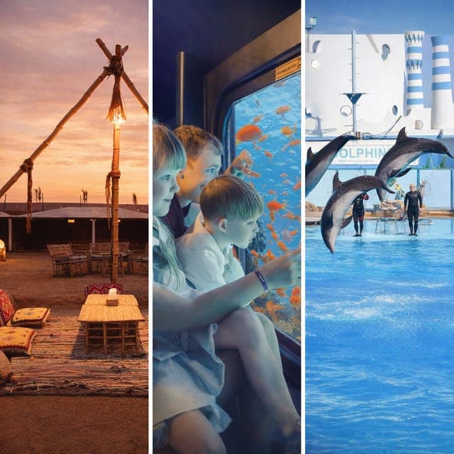 Hurghada: Dolphin Show, Snorkeling, submarine& Bedouin Tour