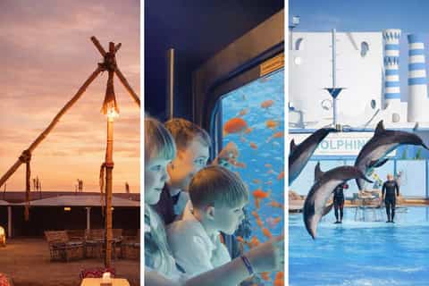 Hurghada: Dolphin Show, Snorkeling, submarine& Bedouin Tour