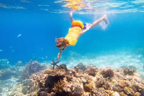 6-Day Hurghada & Cairo Package: Red Sea, Pyramids & Safari