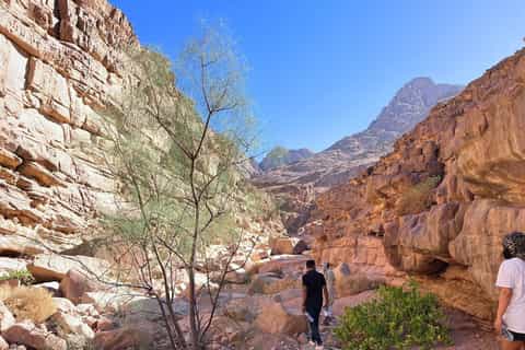 Hurghada Qattar Mountain Adventure: 4WD & Stargazing
