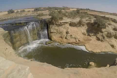 Cairo: Fayoum, Wadi El Rayan, and Wadi al Hitan 4x4 Tour