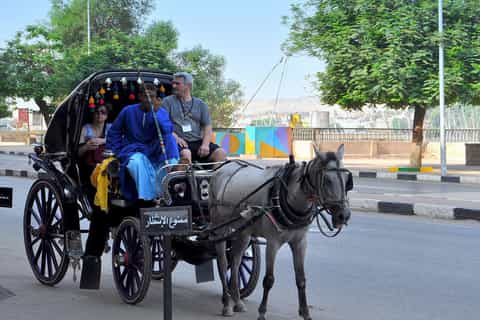 Luxor : Luxor City Tour By Horse Carriage Private Tour