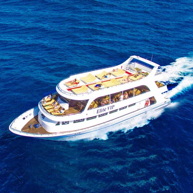 Marsa Alam: Elite vip Turtle bay snorkeling with BBQ Lunch