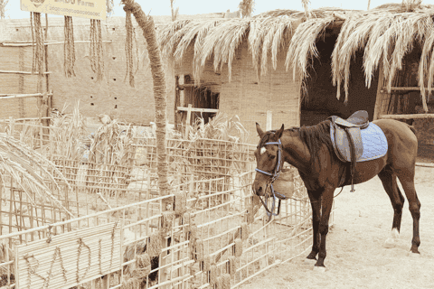 Hurghada: Horseback Ride & Bedouin Cultural Experience