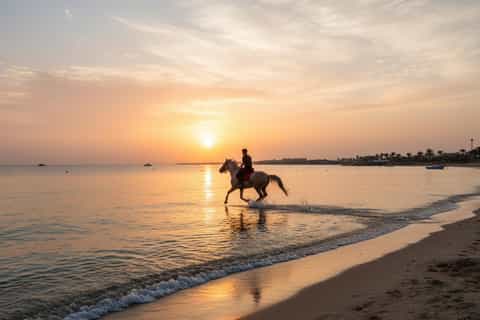 From Hurghada: Red Sea Sunrise and Desert Horseback Riding