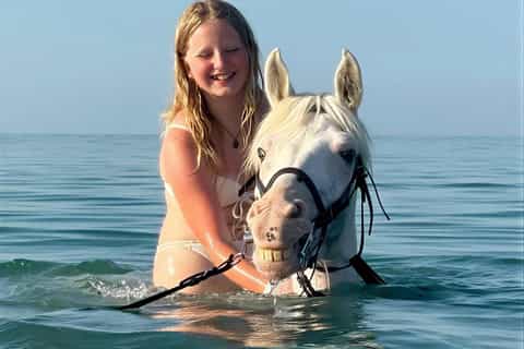 Hurghada: Swim with Horses in the Red Sea Experience