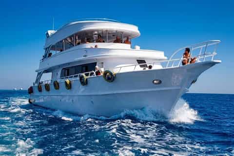 Sharm El Sheikh: Private Boat Trip Snorkeling & Diving